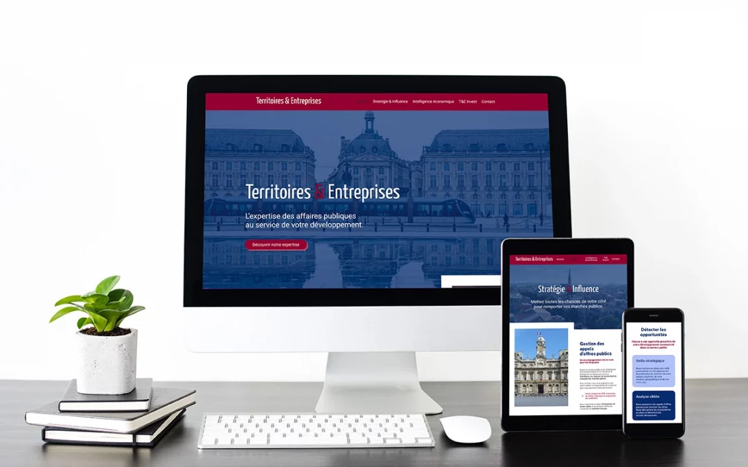 Création d&rsquo;un site internet professionnel spécialisé en affaires publiques