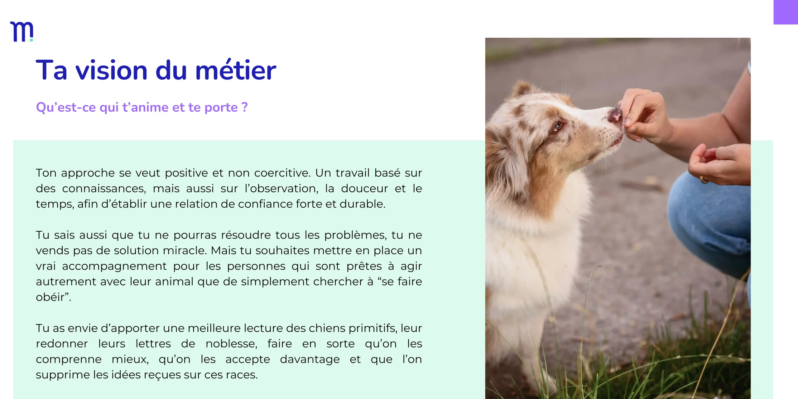 Exemple de restitution de projet de site internet après élaboration du cahier des charges par Signé Marion Communication en Vendée